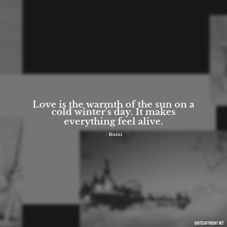 Love is the warmth of the sun on a cold winter's day. It makes everything feel alive. - Love And Sun Quotes