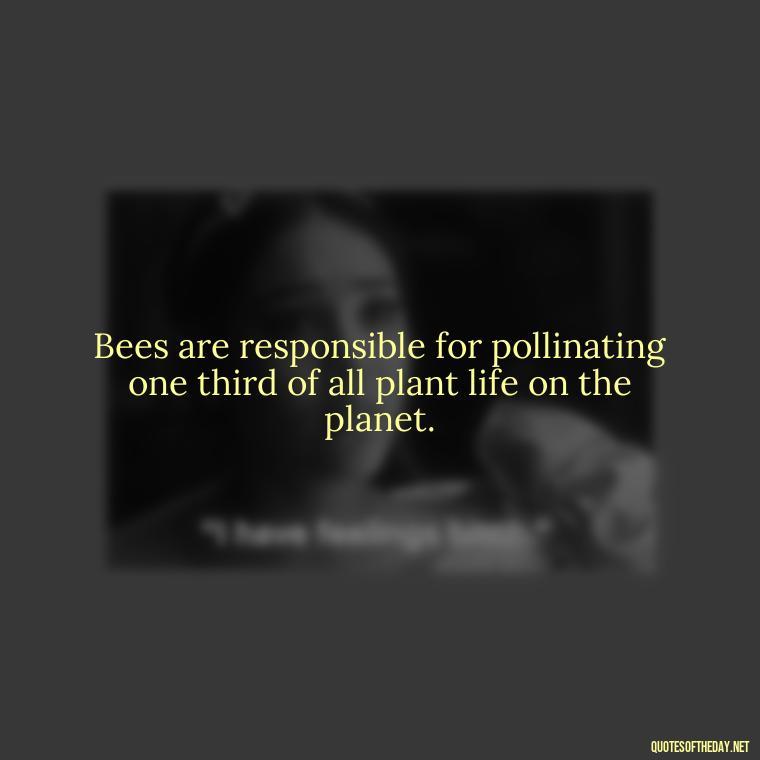 Bees are responsible for pollinating one third of all plant life on the planet. - Bee Quotes Short