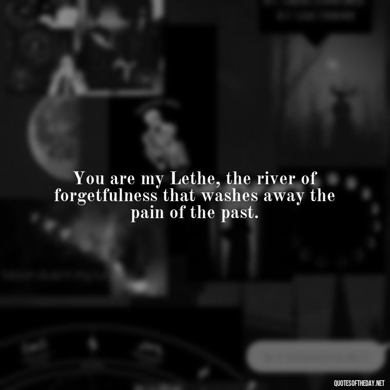 You are my Lethe, the river of forgetfulness that washes away the pain of the past. - Love Quotes Greek Mythology