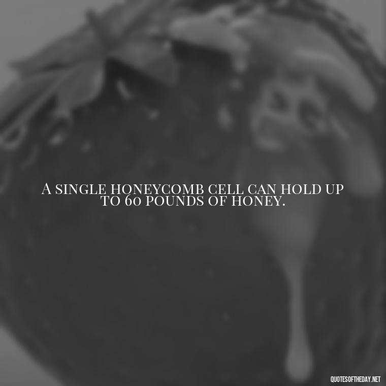 A single honeycomb cell can hold up to 60 pounds of honey. - Bee Quotes Short