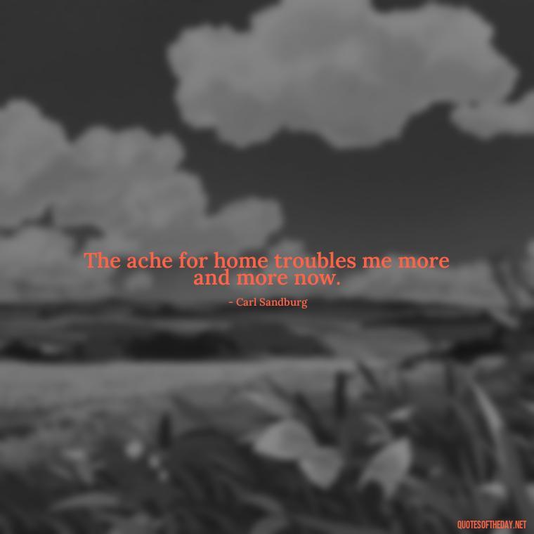 The ache for home troubles me more and more now. - Missing Someone Short Quotes