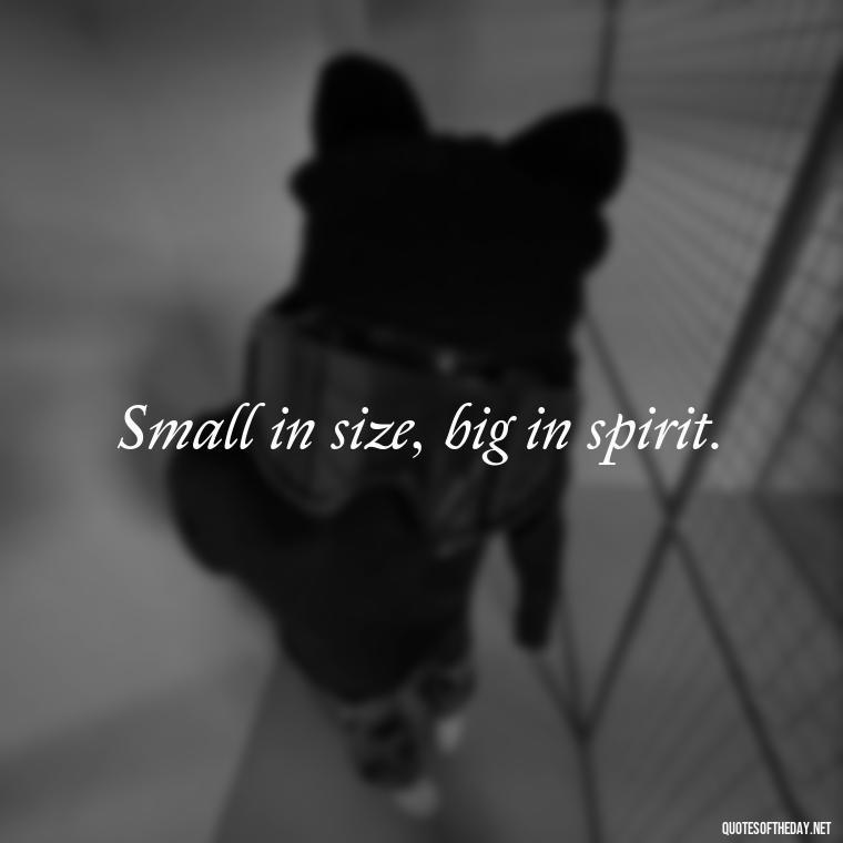 Small in size, big in spirit. - Creative Quotes Short