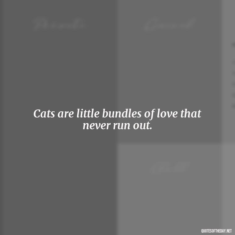 Cats are little bundles of love that never run out. - Love Quotes About Cats