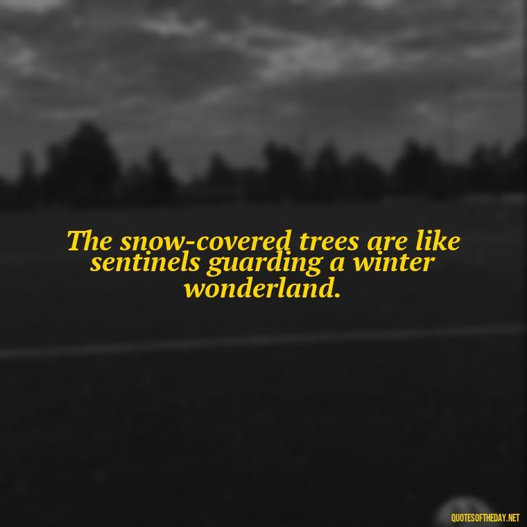 The snow-covered trees are like sentinels guarding a winter wonderland. - Love The Snow Quotes