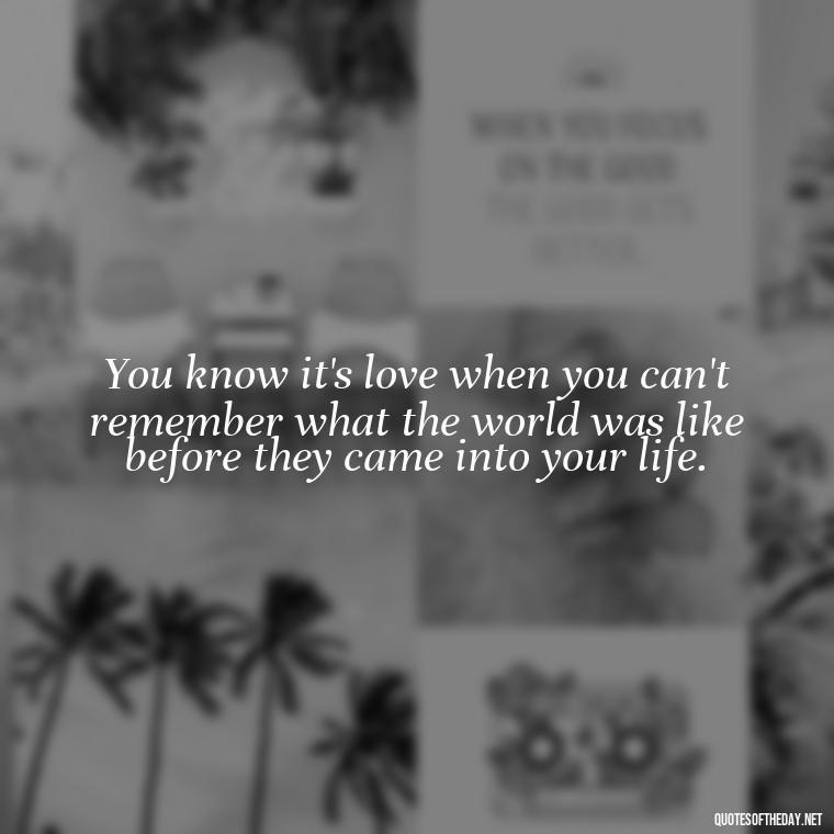 You know it's love when you can't remember what the world was like before they came into your life. - Great Love Song Quotes