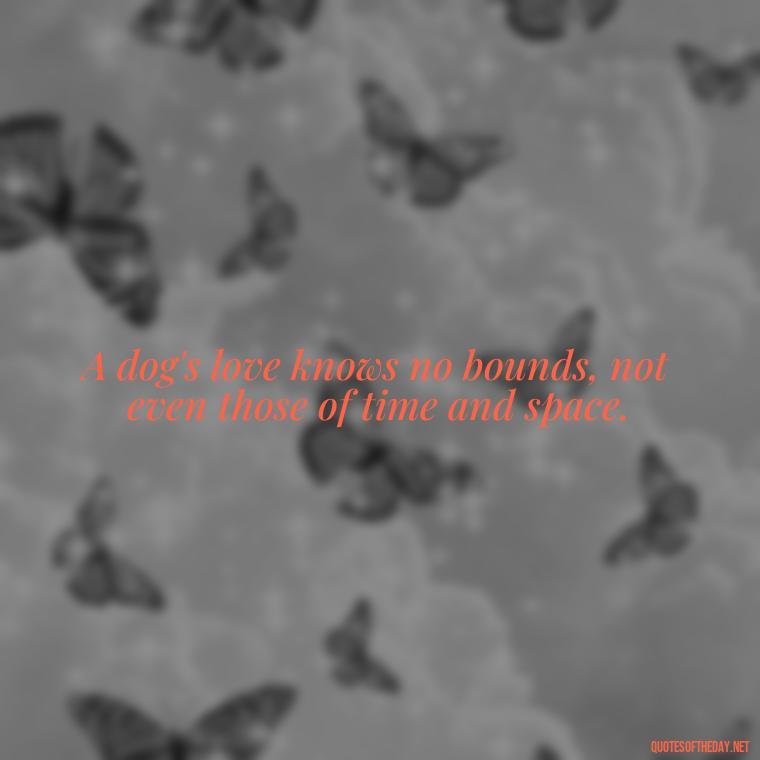 A dog's love knows no bounds, not even those of time and space. - A Dogs Love Quote