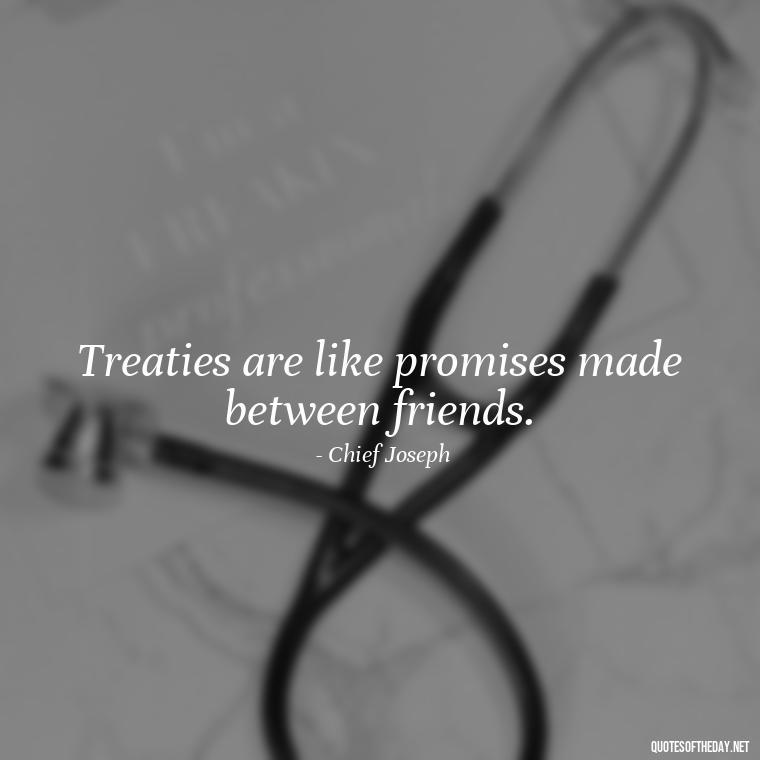 Treaties are like promises made between friends. - Native American Quotes Short