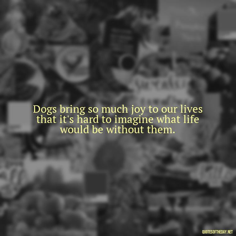 Dogs bring so much joy to our lives that it's hard to imagine what life would be without them. - Love For My Dog Quotes