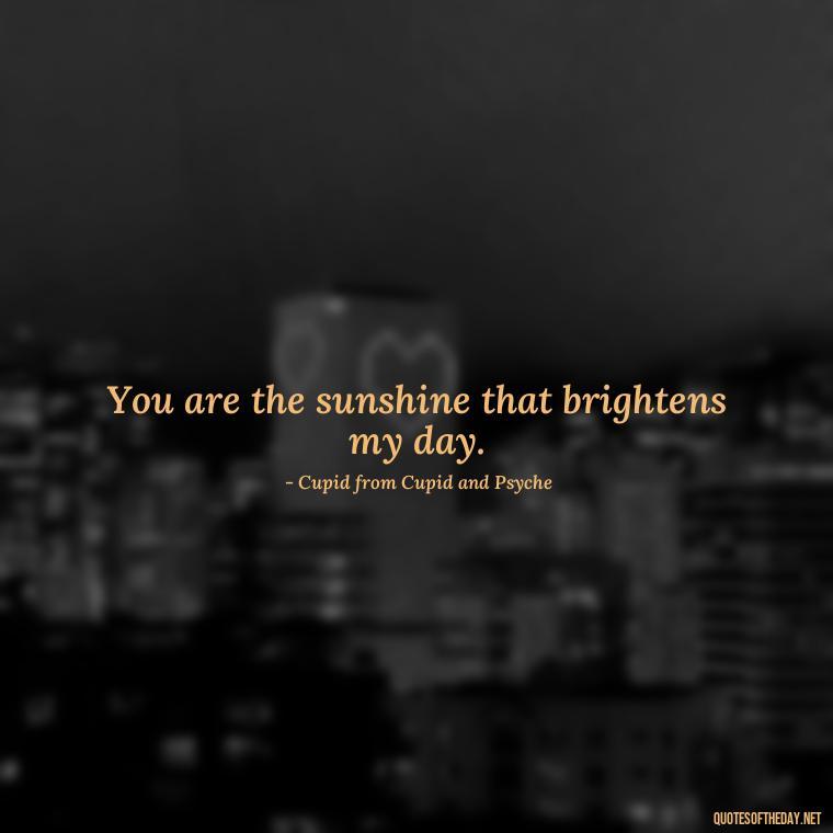 You are the sunshine that brightens my day. - Fairy Tail Love Quotes