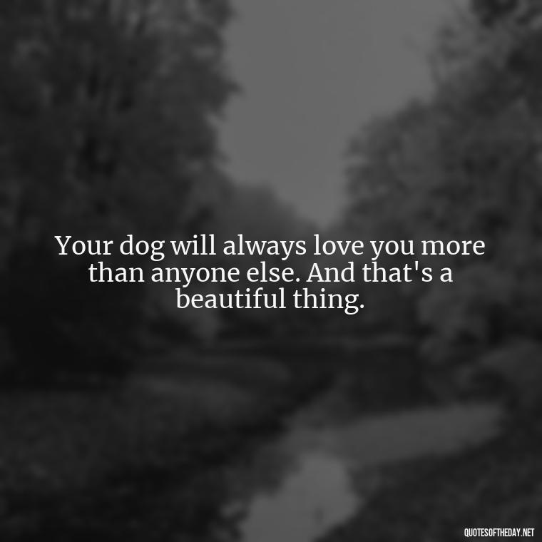 Your dog will always love you more than anyone else. And that's a beautiful thing. - Love For My Dog Quotes