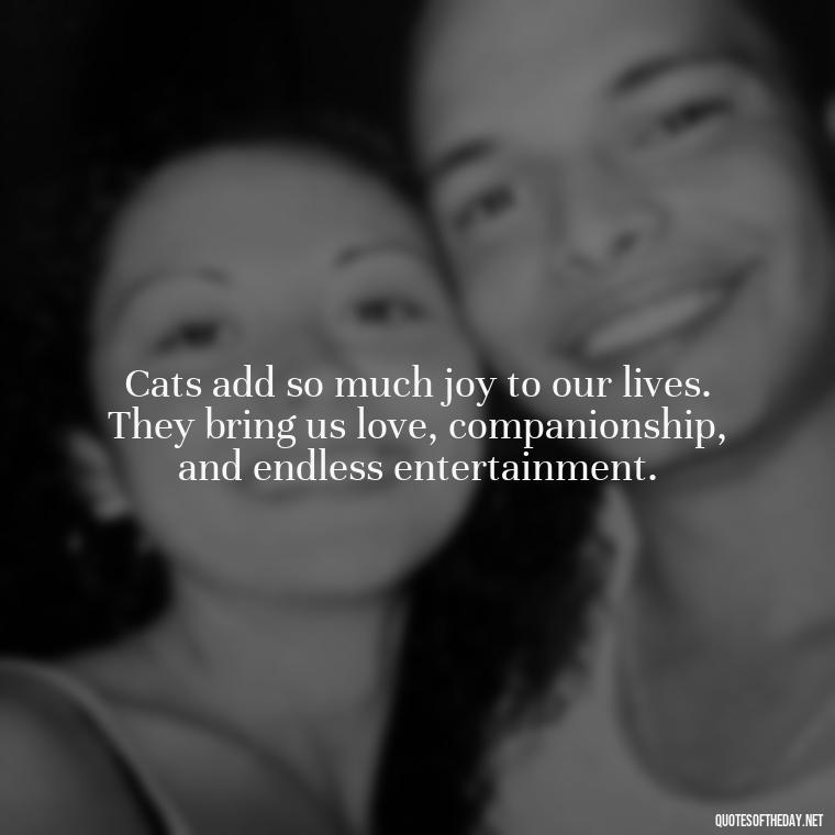 Cats add so much joy to our lives. They bring us love, companionship, and endless entertainment. - Love Quotes About Cats