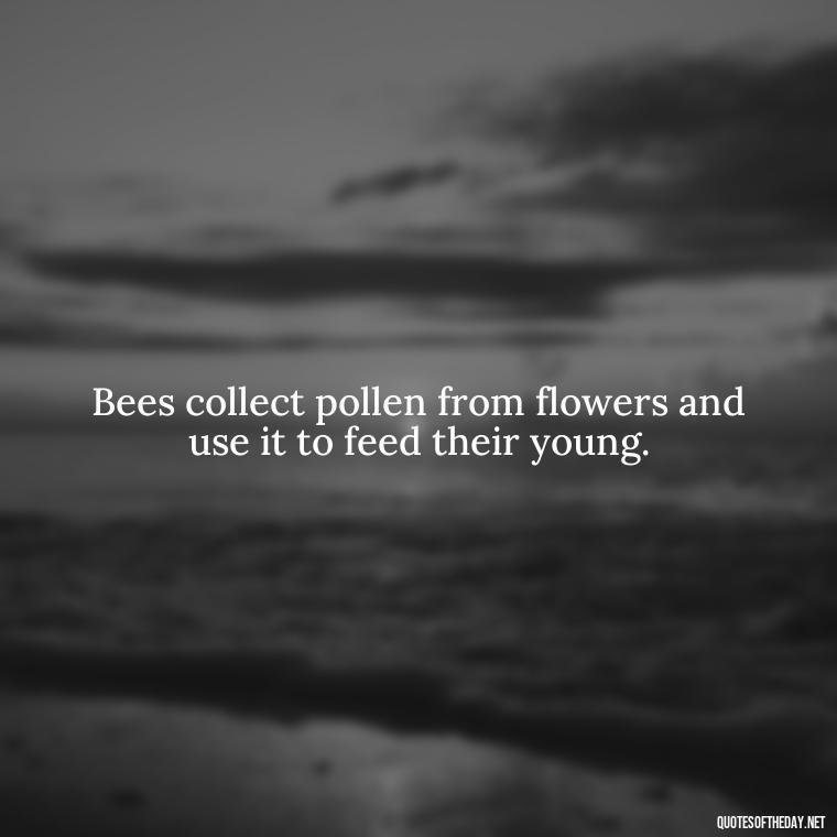 Bees collect pollen from flowers and use it to feed their young. - Bee Quotes Short