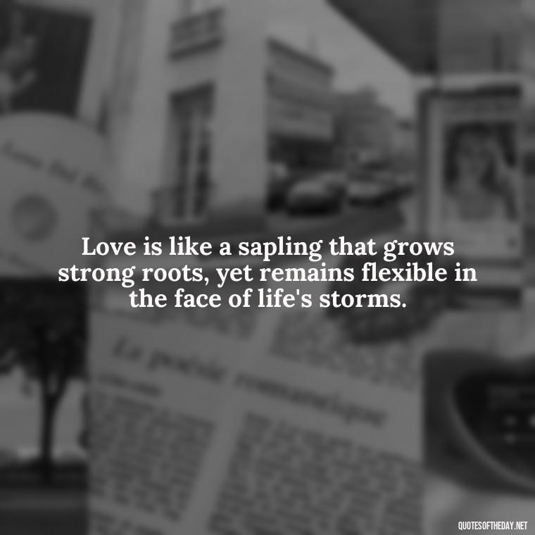 Love is like a sapling that grows strong roots, yet remains flexible in the face of life's storms. - Quotes About Love And Trees