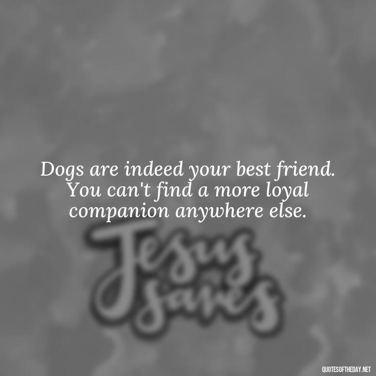 Dogs are indeed your best friend. You can't find a more loyal companion anywhere else. - Love For My Dog Quotes