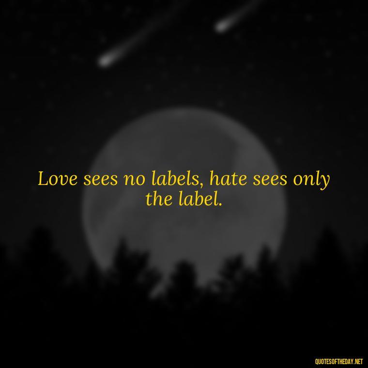 Love sees no labels, hate sees only the label. - Hurt Hate Love Quotes