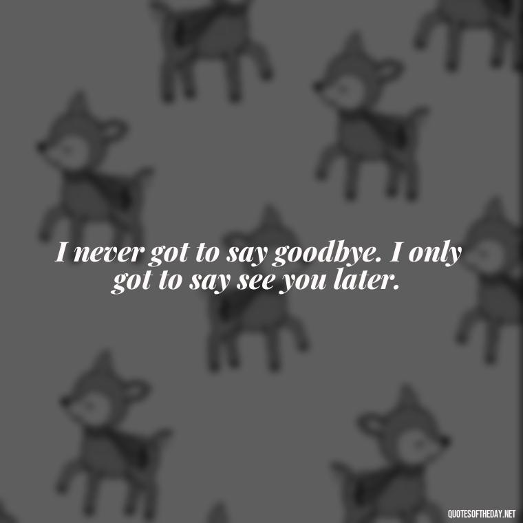 I never got to say goodbye. I only got to say see you later. - Final Goodbye Unrequited Love Quotes