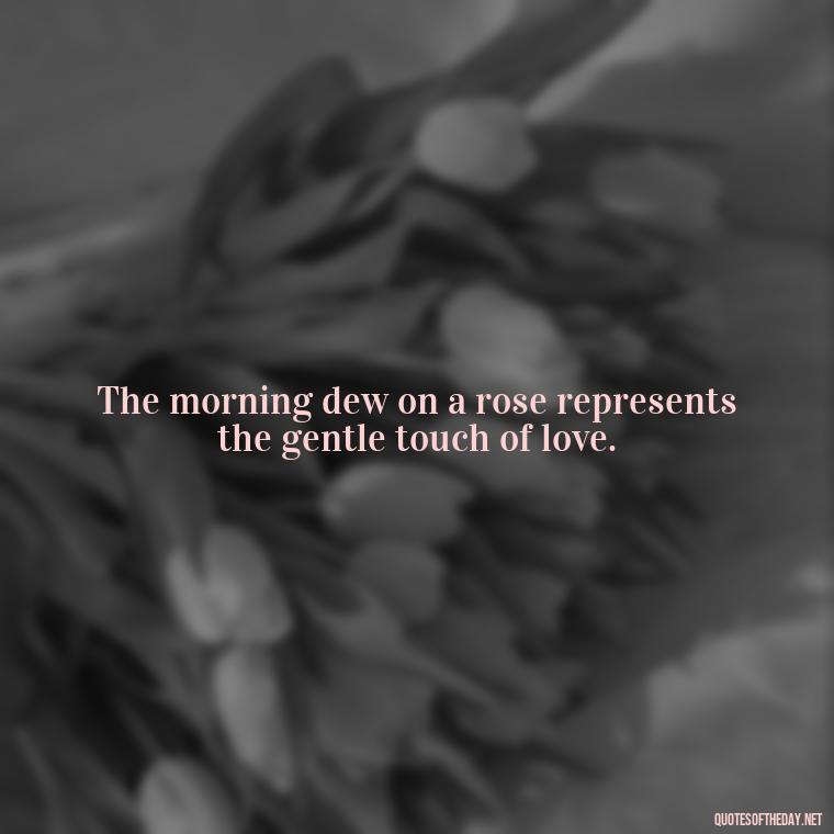 The morning dew on a rose represents the gentle touch of love. - Quotes About Mornings And Love