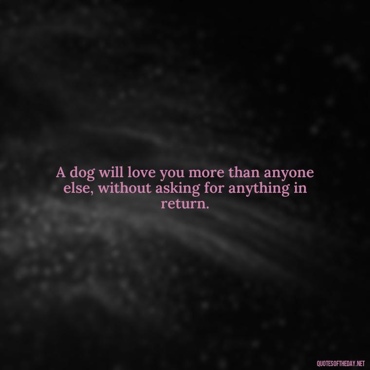 A dog will love you more than anyone else, without asking for anything in return. - Dogs Love Unconditionally Quotes