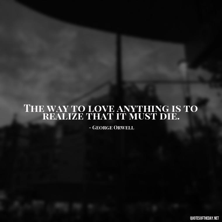 The way to love anything is to realize that it must die. - Love Weird Quotes