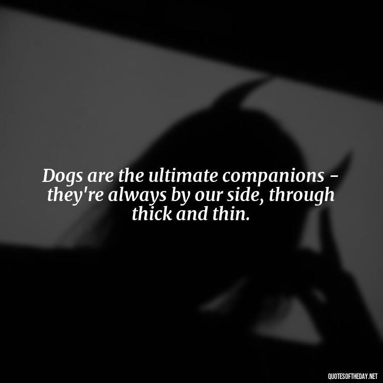 Dogs are the ultimate companions - they're always by our side, through thick and thin. - Dog Love Quotes For Instagram