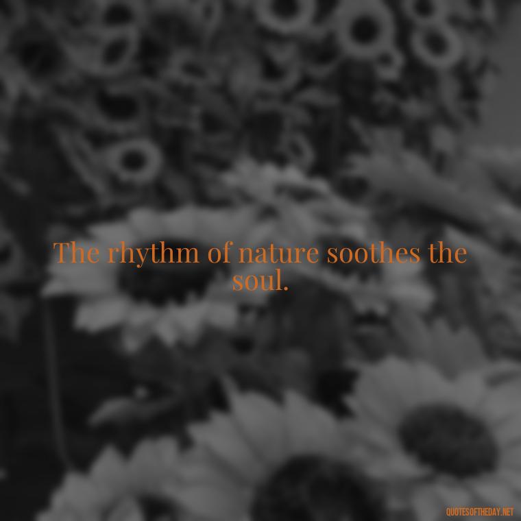 The rhythm of nature soothes the soul. - Quotes Nature Lover