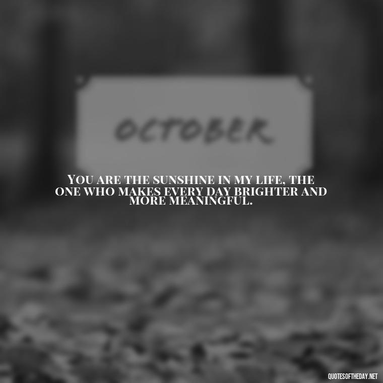 You are the sunshine in my life, the one who makes every day brighter and more meaningful. - Love Quotes One Tree Hill