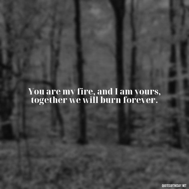 You are my fire, and I am yours, together we will burn forever. - Love Quotes About Fire