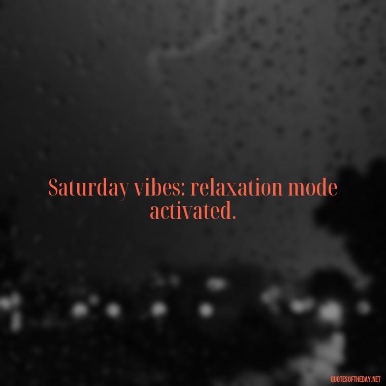 Saturday vibes: relaxation mode activated. - Saturday Quotes Short