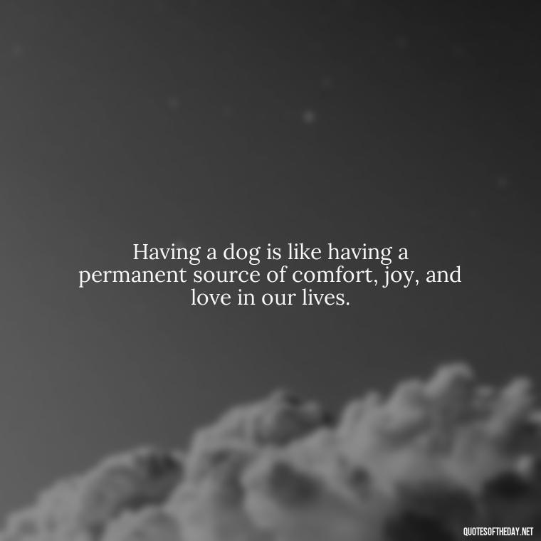 Having a dog is like having a permanent source of comfort, joy, and love in our lives. - Love For My Dog Quotes