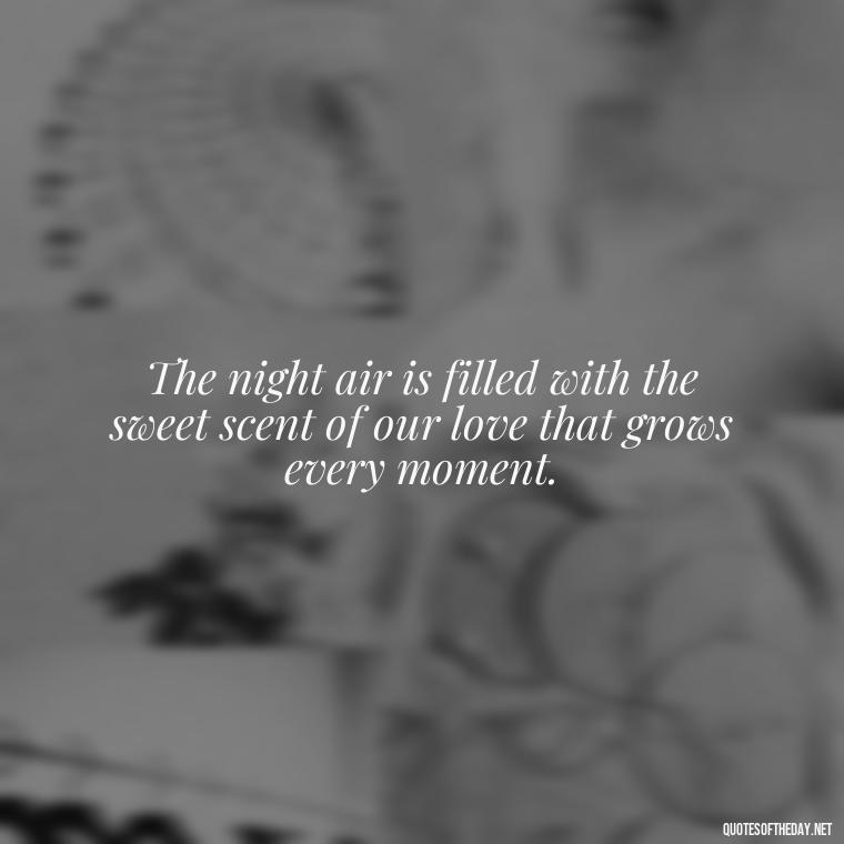 The night air is filled with the sweet scent of our love that grows every moment. - Night Time Love Quotes