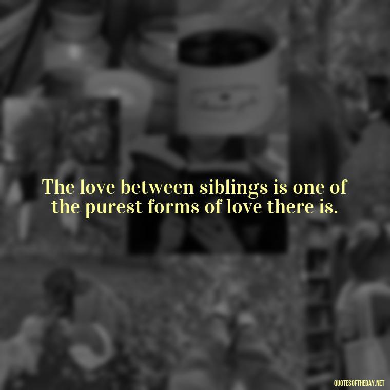 The love between siblings is one of the purest forms of love there is. - Brother And Sister Short Quotes