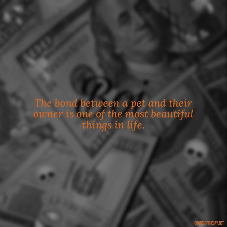 The bond between a pet and their owner is one of the most beautiful things in life. - Quotes About Pets Unconditional Love