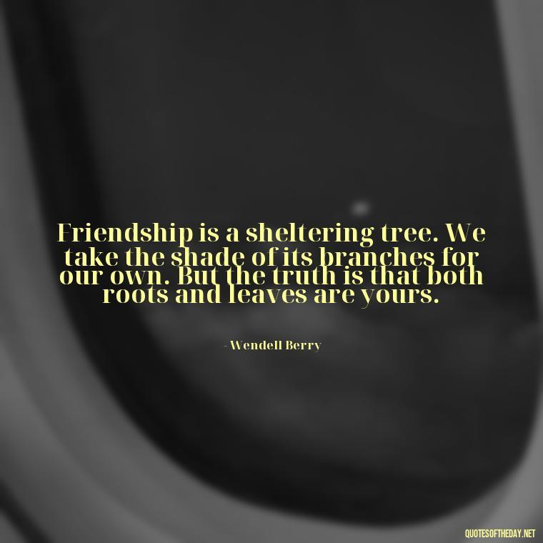 Friendship is a sheltering tree. We take the shade of its branches for our own. But the truth is that both roots and leaves are yours. - My Best Friend And Love Quotes