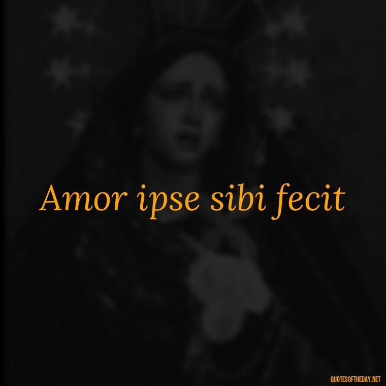 Amor ipse sibi fecit - Quotes In Latin About Love