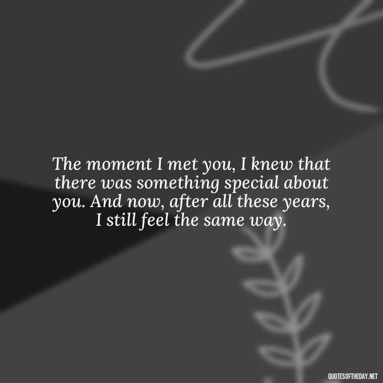 The moment I met you, I knew that there was something special about you. And now, after all these years, I still feel the same way. - I Love You The Way Quotes