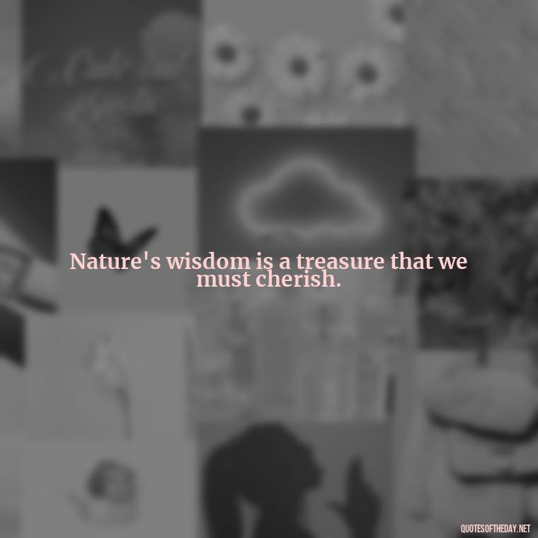 Nature's wisdom is a treasure that we must cherish. - Quotes Nature Lover