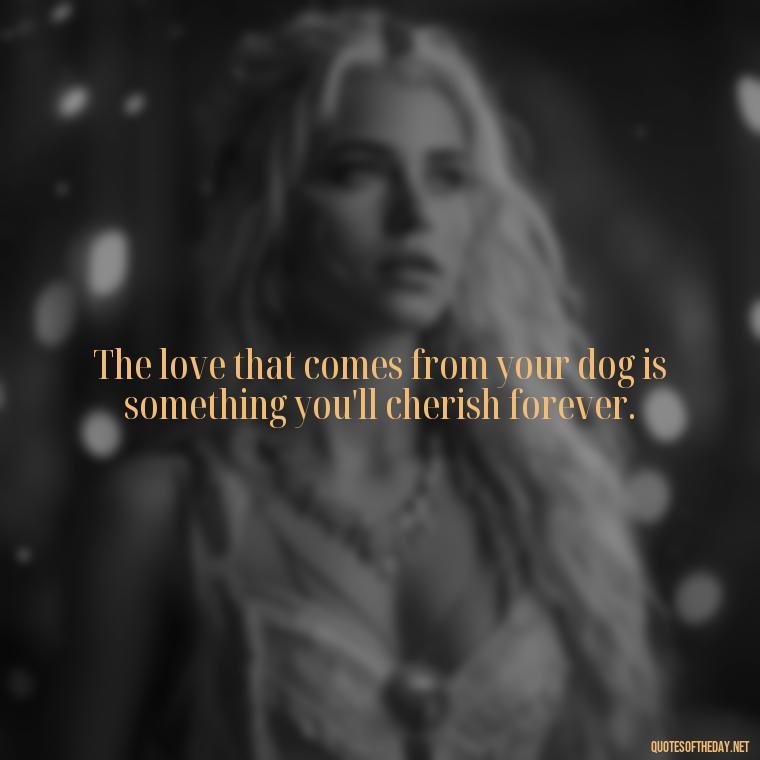 The love that comes from your dog is something you'll cherish forever. - Love Your Dog Quotes