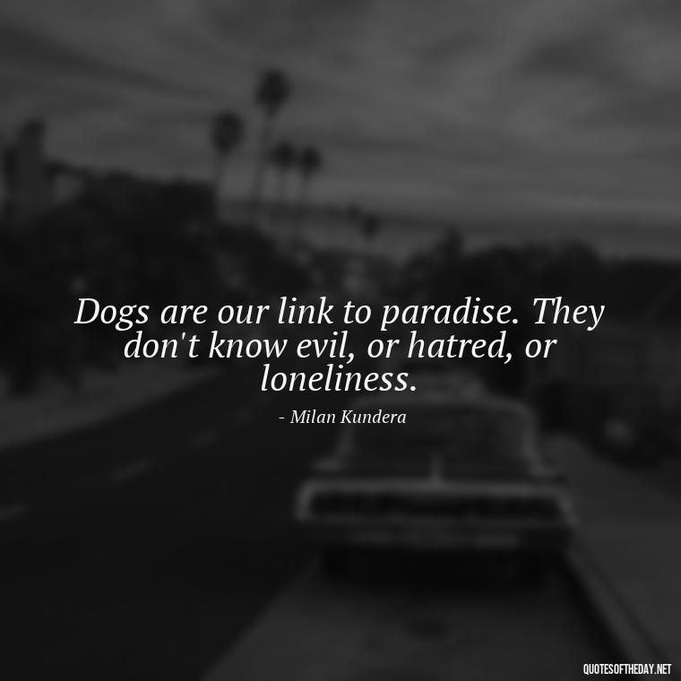 Dogs are our link to paradise. They don't know evil, or hatred, or loneliness. - A Dogs Love Quote