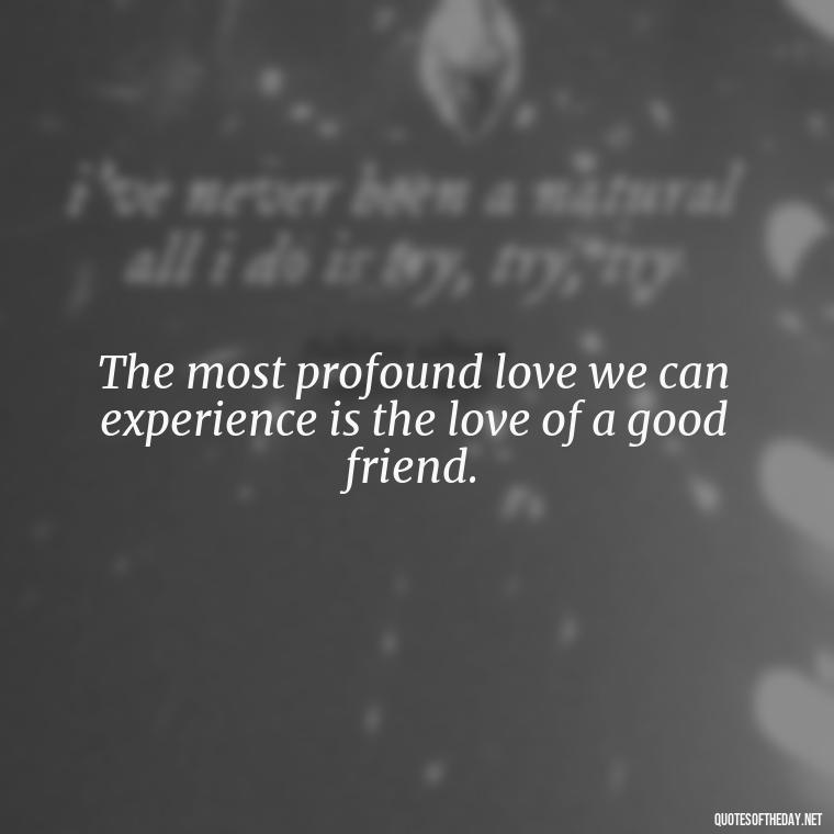 The most profound love we can experience is the love of a good friend. - Love Love Quotes