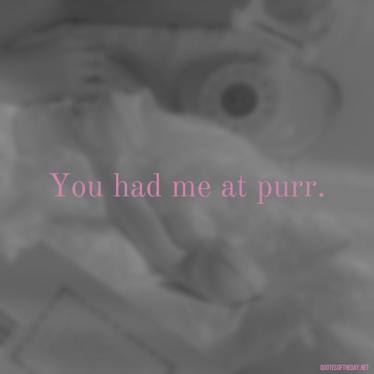 You had me at purr. - Love Quotes About Cats