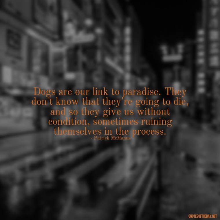 Dogs are our link to paradise. They don't know that they're going to die, and so they give us without condition, sometimes ruining themselves in the process. - Quote About Dogs Love