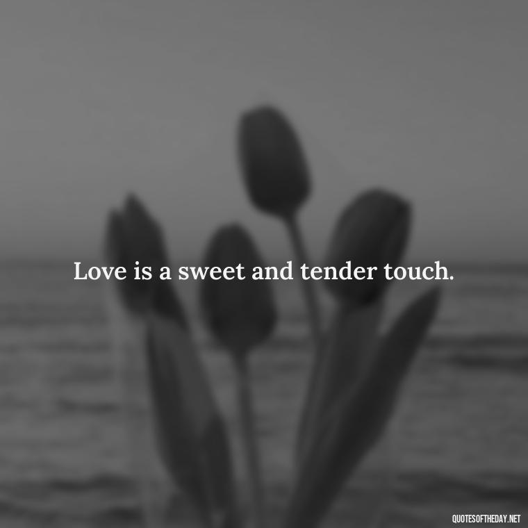 Love is a sweet and tender touch. - Love Touchy Quotes