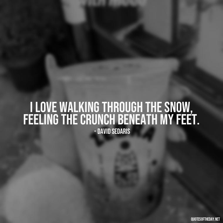 I love walking through the snow, feeling the crunch beneath my feet. - Love The Snow Quotes