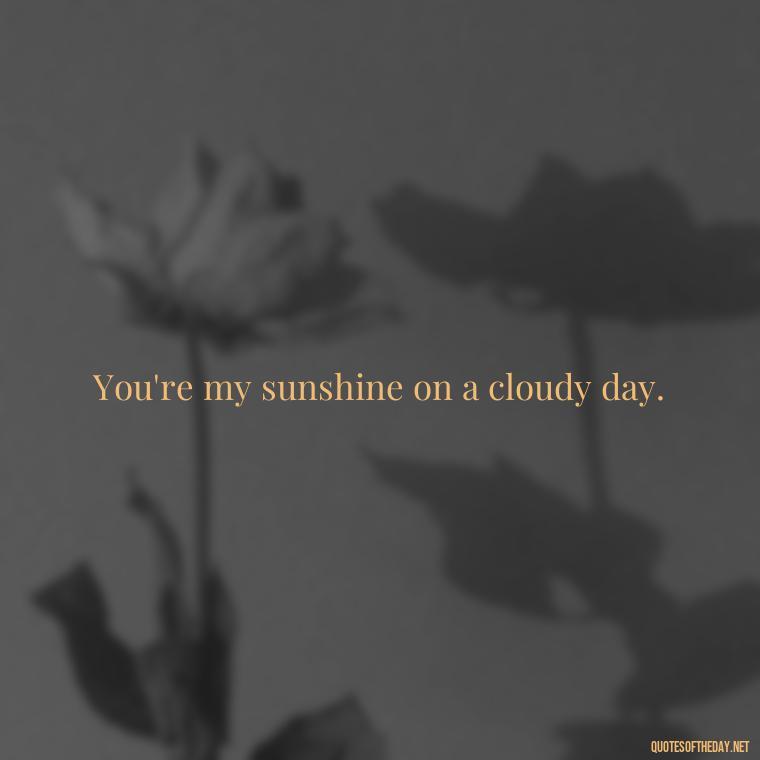 You're my sunshine on a cloudy day. - Fake Love Quotes For Him