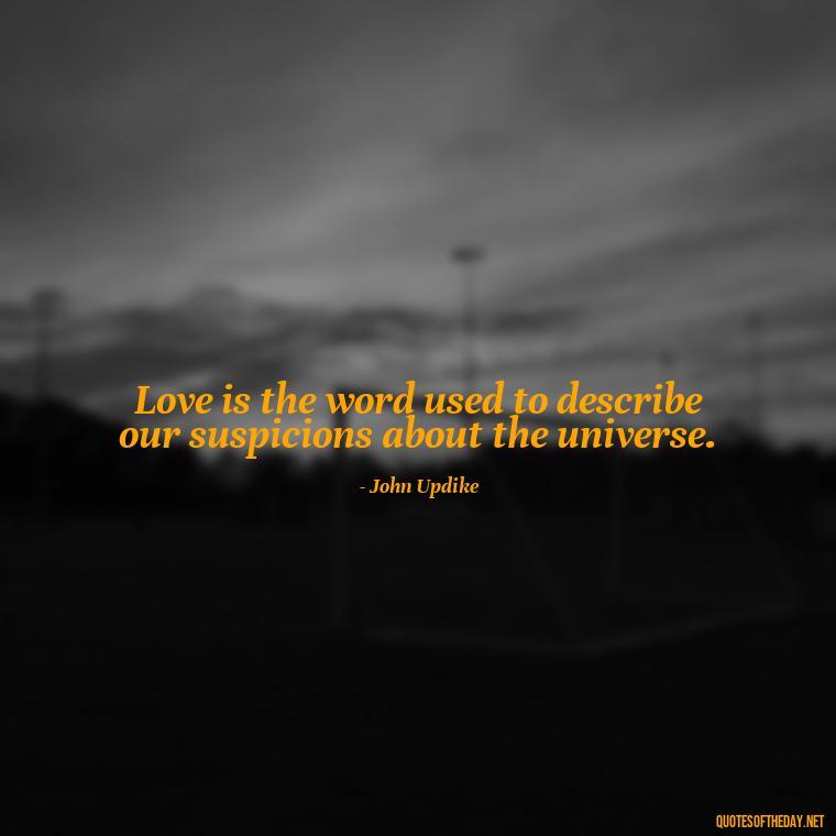 Love is the word used to describe our suspicions about the universe. - Quotes About Love And Destiny