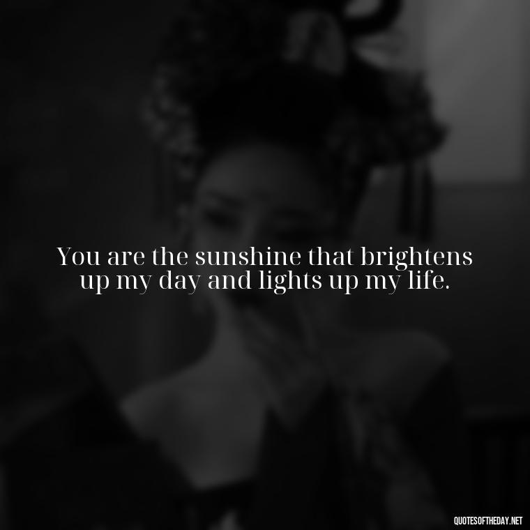 You are the sunshine that brightens up my day and lights up my life. - I Love You Mother Quotes From Daughter