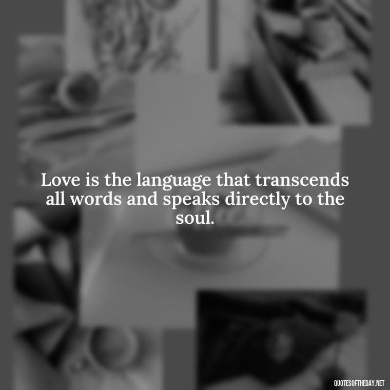 Love is the language that transcends all words and speaks directly to the soul. - Great Short Love Quotes