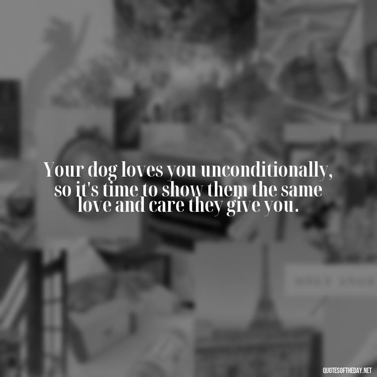 Your dog loves you unconditionally, so it's time to show them the same love and care they give you. - Love Your Dog Quotes