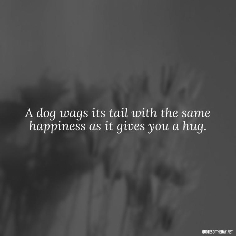 A dog wags its tail with the same happiness as it gives you a hug. - Quote About Dogs Love