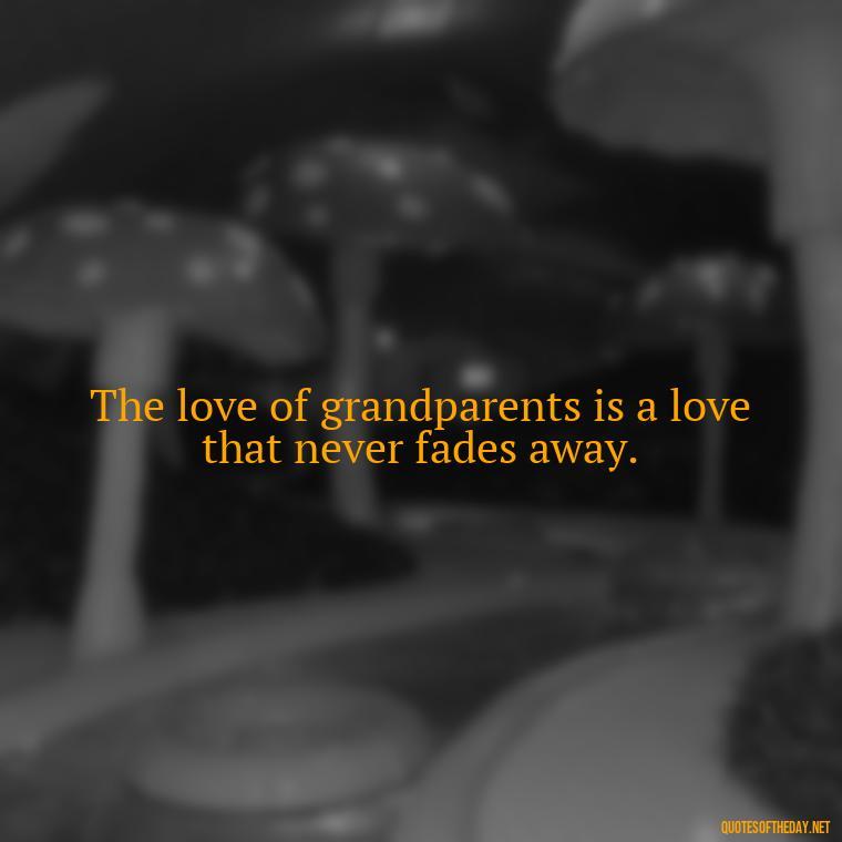 The love of grandparents is a love that never fades away. - Quotes About A Grandparents Love